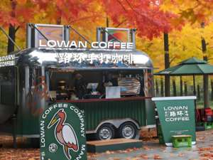 Friteuse professionnelle pour camion de restauration, friteuse à <span class=keywords><strong>gaz</strong></span> robuste avec panier pour cuisine mobile - Product Image 1