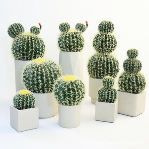 Cactus <span class=keywords><strong>de</strong></span> la Serie Simulación, Bonsái <span class=keywords><strong>de</strong></span> Cactus, Planta Verde, Decoración Suave para Interiores y Exteriores, Exhibición en Ventanas, Plantas Decorativas Artificiales - Product Image 3