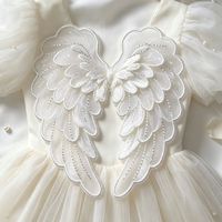 Aile d'ange blanche brodée à coudre, applique personnalisée en tissu voile tissé avec fil argenté pour vêtements, sacs, chapeaux, cosplay