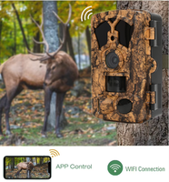 Caméra d'essai sans fil Wifi Digital Trail Wildlife Hunting Camera Waterproof 48mp 4K Night Vision Time Lapse