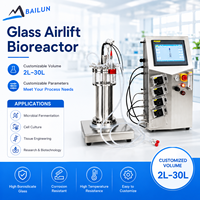Biorreactor Tubular de Cultivo Celular de 5L-30L con Motor, Cuchilla de Bajo Cizallamiento, Control PLC, Fermentador de Vidrio Automático