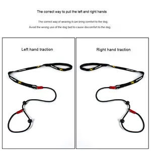 Venta directa del fabricante, cadena P, grado <span class=keywords><strong>de</strong></span> carreras, nailon sólido, cuerda <span class=keywords><strong>de</strong></span> remolque para mascotas para <span class=keywords><strong>cachorros</strong></span>, decoración <span class=keywords><strong>de</strong></span> cinta para <span class=keywords><strong>perros</strong></span> pequeños, medianos y grandes - Product Image 5