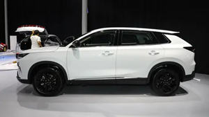 Nuovissimo DongFeng Feng Shen HaoJi Modello 2026, SUV di Lusso a Benzina per Famiglie con 5 Posti, Prezzo di Fabbrica - Product Image 3