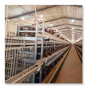 Automatic Battery Cage System Layer Chicken Equipment Machine Feeds Production Line Poultry Farm Coop System