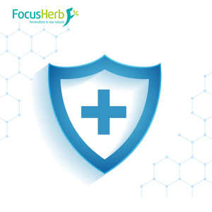 Focusherb USA kho kho <span class=keywords><strong>Shiitake</strong></span> bột thực phẩm sức khỏe lớp <span class=keywords><strong>Shiitake</strong></span> nấm bột - Product Image 4