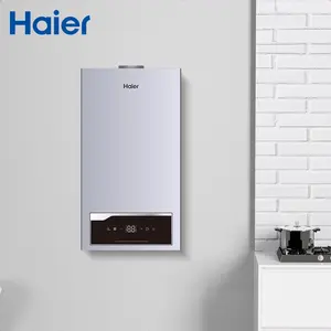 Penjualan Terbaik dipasang di dinding Cina harga grosir Haier Gas alami instan tanpa tangki pemanas air panas