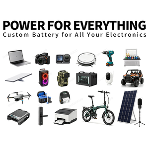 <span class=keywords><strong>Batterie</strong></span> externe rechargeable personnalisée pour consoles de jeux portables Steam Deck ROG Ally Switch - 1000-8000 mAh Li-ion/Li-polymère OEM - Product Image 6
