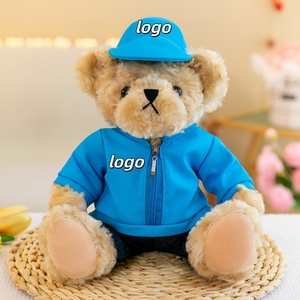 Oso de Peluche Personalizado con Logotipo, Juguete de Peluche de Tela de Algodón, Tamaños de 25 cm/30 cm, Alivio del Estrés, Regalo Corporativo para Graduación Empresarial - Product Image 1
