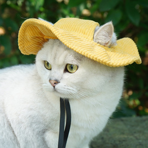 Chongtapet - Sombrero de vaquero monocromático para mascotas, sombrero de verano para gatos, para uso en exteriores - Product Image 4