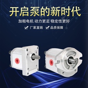 ปั๊มไฮดรอลิก Hsin Hung รุ่น HGP-3A 6 11 14 17 23R 25 28 30R สำหรับใช้งานในอุตสาหกรรม - Product Image 2