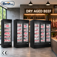 Armoire de maturation à froid pour viande de bœuf avec porte vitrée, refroidissement par air, -5 à 10°C ° Réfrigérateur pour restaurant de steakhouse et boucherie