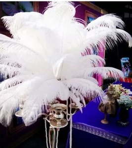 Plumes d'<span class=keywords><strong>autruche</strong></span> largement utilisées pour les centres de table de mariage Plume d'<span class=keywords><strong>autruche</strong></span> naturelle assez moelleuse - Product Image 3