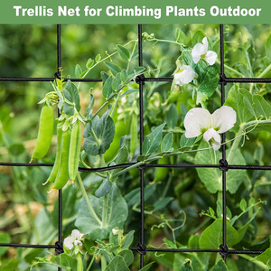 Trellis Lưới <span class=keywords><strong>Net</strong></span> nhựa <span class=keywords><strong>PP</strong></span> đàn hồi nelyon nylon mềm phân hủy sinh học PE nhà máy trellising hỗ trợ leo núi staking dưa chuột - Product Image 5