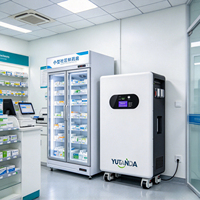 Batterie de stockage LiFePO4 YUTANDA sur roues 51.2V 200Ah 300Ah 5kWh-16kWh avec BMS intelligent pour système solaire photovoltaïque hors réseau