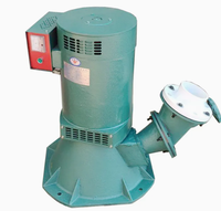 Generator Turbin Air Pelton 100kW Terlaris Frekuensi 50Hz