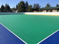 Dalles de sol modernes antidérapantes et résistantes à l'usure pour patinage à roulettes, modules en PP pour festivals, animations et locations