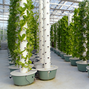 Invernaderos agrícolas Cultivo vertical Aeroponía Cultivo hidropónico para sistema con bomba 6/8/10 capas 100L Tanque de agua - Product Image 4