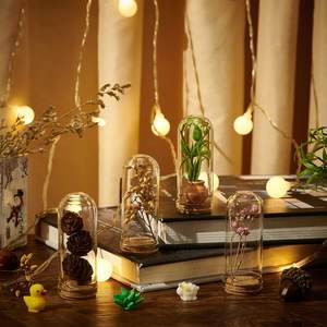 بيع بالجملة مباشر من المصنع، غطاء زجاجي لعيد الحب، ثلاث وردات خالدة محفوظة للأبد في قبة زجاجية لهدايا عيد الحب - Product Image 4