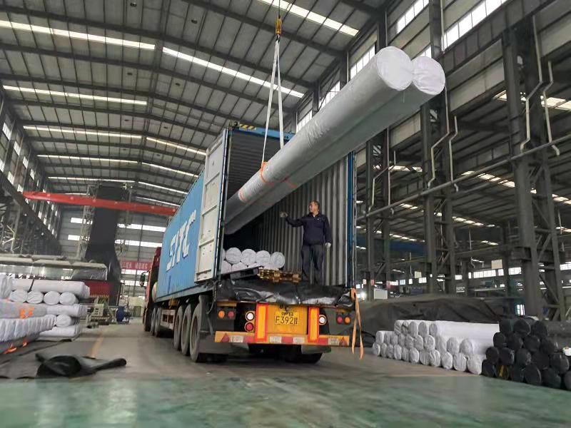 Customized LDPE Geomembrane Liner GRI-GM13 ASTM HDPE Dam Liners