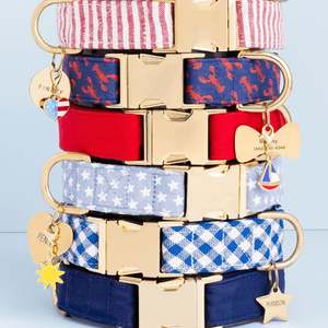 Joyería Personalizada de Alta Calidad al por Mayor con Grabado del Nombre de tu Mascota, Chapado en Oro de 18k, Acero Inoxidable, Placa de Identificación para Mascotas en Forma de Nube - Product Image 5