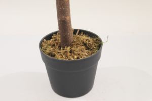 JWS3991 Plantas Artificiales Árbol <span class=keywords><strong>de</strong></span> Limón <span class=keywords><strong>Venta</strong></span> Directa <span class=keywords><strong>de</strong></span> Fábrica con Fruta <span class=keywords><strong>de</strong></span> Limón Plantas <span class=keywords><strong>de</strong></span> Hojas Verdes Decoración <span class=keywords><strong>de</strong></span> Paisaje - Product Image 5