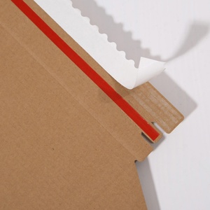 Baoren Biodegradable Kraft Mailer <b>Box</b> Easy Open Tear Strip Custom Size CMYK Print for Product Packaging - Product Image 3