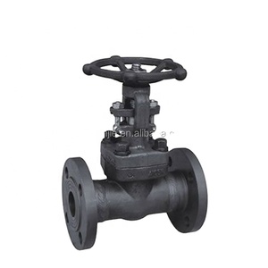 Thép Carbon Rèn A105 Van Cổng 300PSI Mặt Bích Kết Thúc - Product Image 1