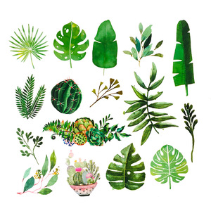 60PCS Mini pianta verde fiore piccolo Cactus foglia di palma auto da parete frigo bagagli laptop <span class=keywords><strong>adesivi</strong></span> impermeabili - Product Image 2