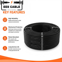 N2XBY RVFV STA 5x25 Câble blindé à double bande d'acier galvanisé Câble XLPE en cuivre YJV22 Multi Core