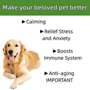 Aceite de dobladillo orgánico de etiqueta privada OEM 100% aceite de dobladillo de espectro completo orgánico puro para aliviar el dolor Pacificate Mascotas Placation - Product Image 6