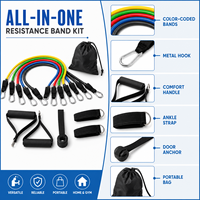 Ensemble de 11 bandes de résistance en latex de haute qualité pour entraînement de force à domicile