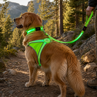Collier et laisse pour chien en nylon durable Qcool avec LED, équipement pour animaux de compagnie pour l'extérieur, logo personnalisé, ensemble pour promenades nocturnes, fournisseur d'accessoires pour animaux.