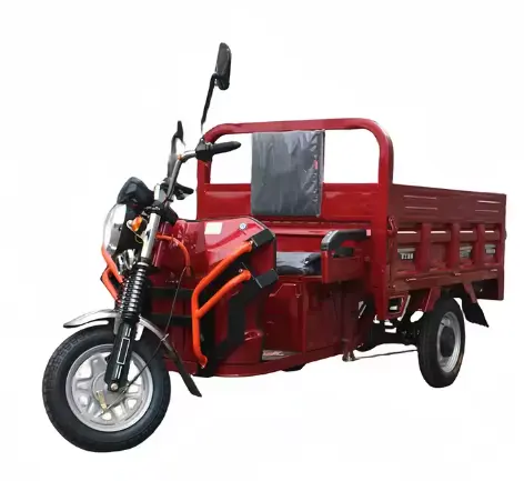 Durable 800W 48V Electric Cargo Tricycle 4 Wheels E-Bike Motorcycle Open Adult Cheap E-Trikes 3 Wheel Trucker Passenger