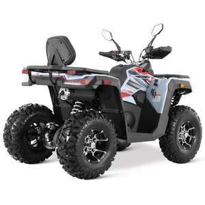 Quad ATV Tao Motor 2026, nouveau modèle homologué EEC T3B, 4x2, automatique, transmission par chaîne, adulte, 250cc, avec CE EPA - Product Image 5
