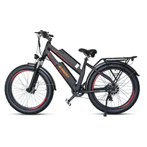 欧洲美国仓库胖胎自行车，带可拆卸电池，用于成人电动自行车