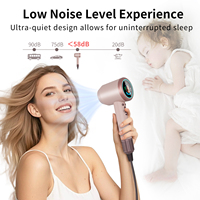 Ensemble de sèche-cheveux ionique professionnel HongYa HY-158 avec moteur sans balais 110 000 tr/min haute puissance, emballage en boîte cadeau