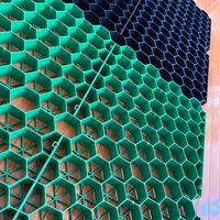 Grilles en béton HDPE perméables pour allées et parkings