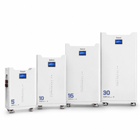 Batterie solaire hybride 16 kWh 51,2 V 314 Ah avec Wi-Fi, 8000 cycles, sans entretien, fonctionnement sécurisé, empilable