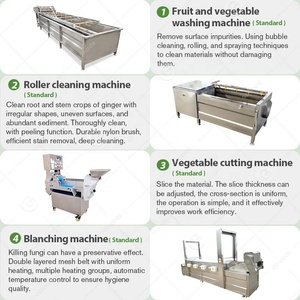 Le traitement industriel automatisé de poudre de gingembre de production de ligne de production d'ail d'oignon d'usine font la machine - Product Image 3