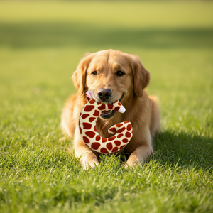 Jouet sonore en peluche <span class=keywords><strong>pour</strong></span> animaux de compagnie, 26 <span class=keywords><strong>mots</strong></span> anglais, <span class=keywords><strong>pour</strong></span> chienne en période de dentition, intelligence, divertissement autonome, jouet contre l'ennui et amusant - Product Image 3
