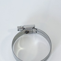 Collier de serrage à vis sans fin DIN 3017 allemand en acier inoxydable 304/316, structure pivotante, bande large polie, couple élevé, pour tuyaux automobiles