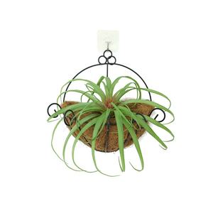 مصنع بيع البلاستيك نبات الهواء الاصطناعي العشب Tillandsia لتزيين الجدران - Product Image 4