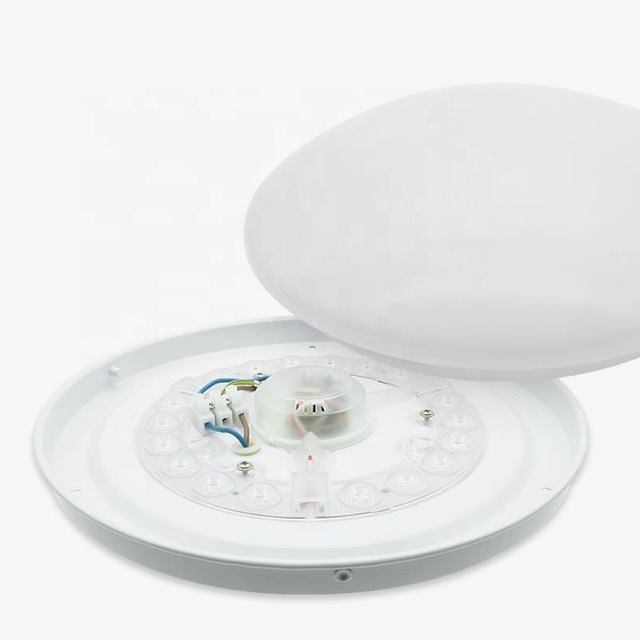 Indoor China Round Decoration Led Ceiling Light Led Ceiling Lights