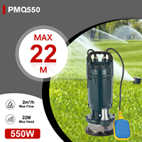 Pompe à eau submersible PMQ550 550W 0,75HP avec protection contre les surcharges intégrée pour l'alimentation en eau domestique, le drainage des étangs et des caves, 220V 50Hz