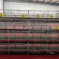 Cage à poulets verticale intégrée à 4 niveaux pour l'élevage et la reproduction des poussins, cage spéciale de petite taille pour la famille, sans alimentation électrique