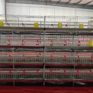 <span class=keywords><strong>Cage</strong></span> à poulets verticale intégrée à 4 niveaux pour l'élevage et la reproduction des poussins, <span class=keywords><strong>cage</strong></span> spéciale de petite taille pour la famille, sans alimentation électrique - Product Image 2