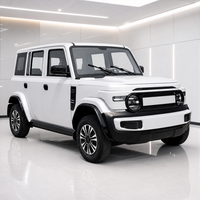 SUV électrique compact robuste pour adultes, à 4 roues, avec un grand coffre pour les voyages en famille et le camping