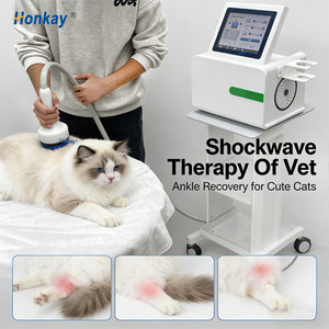 Advanced 0-66mm Deep Tissue Pulse 1-10Hz Frequency Professional Use Body Wellness <b>Shockwave</b> <b>Therapy</b> <b>Machine</b> - Product Image 1
