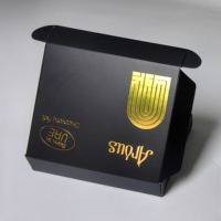 Lujosa caja de embalaje de avión con tarjeta de papel negro con estampado dorado logotipo privado personalizable respetuoso con el medio ambiente y reciclable