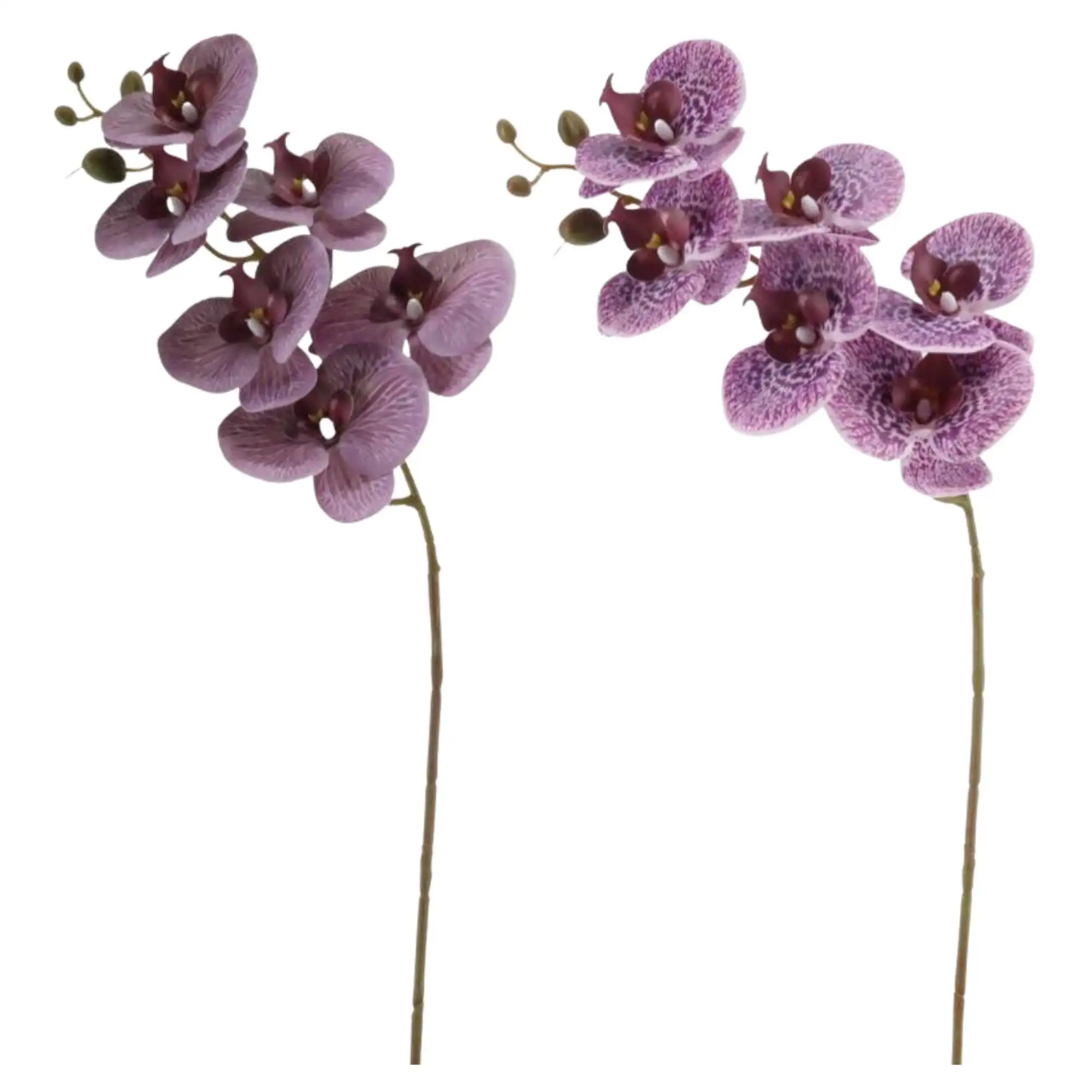 Bahan PEVA 3D cetak batang panjang Anggrek ngengat Phalaenopsis anggrek palsu Phalaenopsis bunga untuk buket bunga